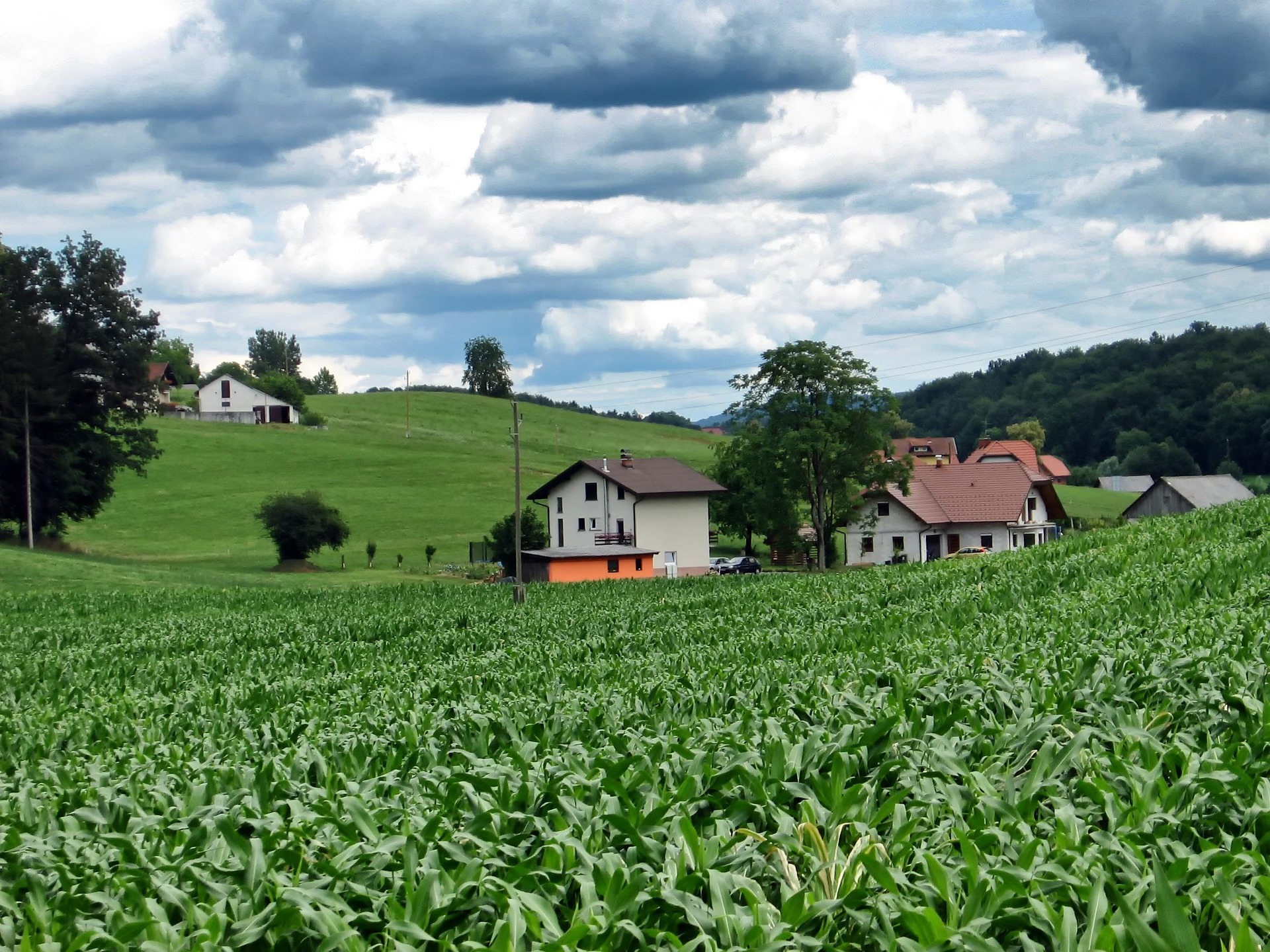 Highland farm landscape